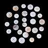 1 Strand 2 Styles Natural Freshwater Shell Beads Strands SHEL-TA0001-43-4
