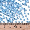 8/0 Glass Seed Beads SEED-A012-3mm-123-3
