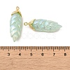 Rainbow Iridescent Plating Resin Pendants RESI-C047-03D-G-3