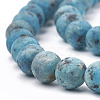 Natural Sesame Jasper/Kiwi Jasper Beads Strands G-T106-342D-2