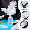 20Pcs 2 Styles Ostrich Feather Costume Accessories FIND-TA0005-96-6