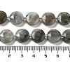 Natural Labradorite Beads Strands G-NH0004-001-5