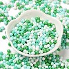 6/0 Opaque Baking Paint Glass Seed Beads SEED-M012-02A-27-2