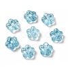 Transparent Glass Beads GLAA-F116-02A-1