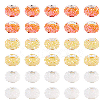 100Pcs Large Hole Resin European Beads OPDL-TA0001-06A-1