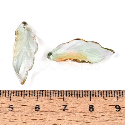 Baking Paint Transparent Glass Pendants DGLA-N014-02C-1