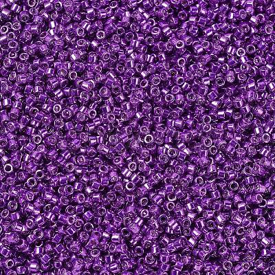 MIYUKI Delica Beads X-SEED-J020-DB0431-1