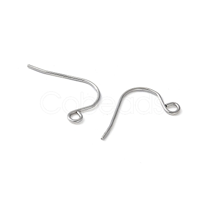 316 Surgical Stainless Steel Earring Hooks STAS-Z124-02C-P-1