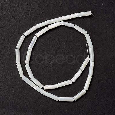 Natural Trochid Shell/Trochus Shell Beads X-SSHEL-O001-26B-1