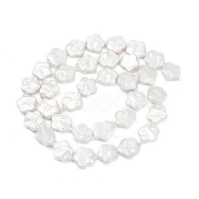 Electroplate Shell Pearl Beads Strands BSHE-Z009-07-01-1