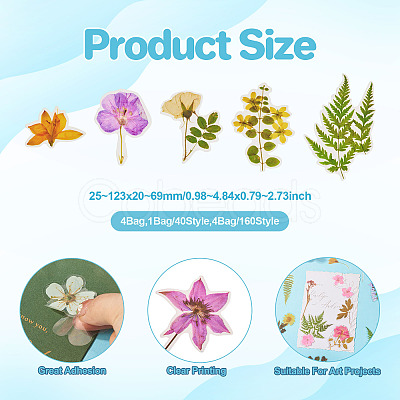 4 Bags 4 Styles Plant PET Adhesive Waterproof Stickers DIY-TA0009-84-1