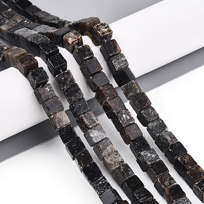 Natural Biotite Beads Strands G-T140-39A-1