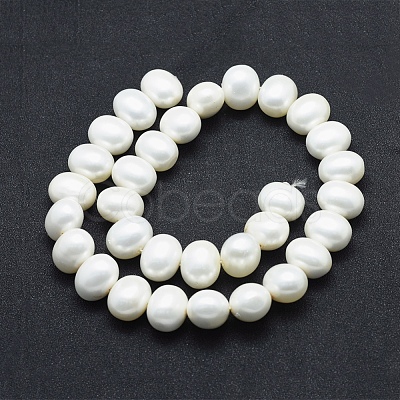 Shell Pearl Beads Strands BSHE-F001-02B-1