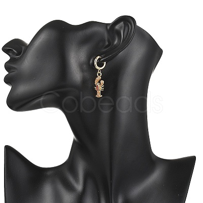 Lobster Brass Micro Pave Cubic Zirconia Dangle Hoop Earrings EJEW-JE07171-1