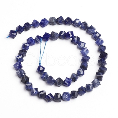 Natural Sodalite Beads Strands G-E560-B02-1