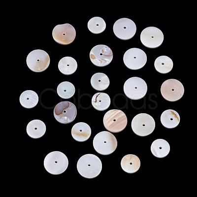 1 Strand 2 Styles Natural Freshwater Shell Beads Strands SHEL-TA0001-43-1