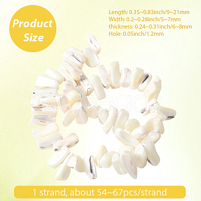 1 Strand Dyed Natural Trochus Shell Beads Strands SSHEL-PA0001-01B-1