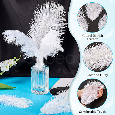 20Pcs 2 Styles Ostrich Feather Costume Accessories FIND-TA0005-96-1