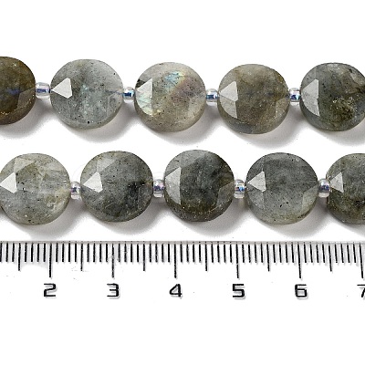 Natural Labradorite Beads Strands G-NH0004-001-1