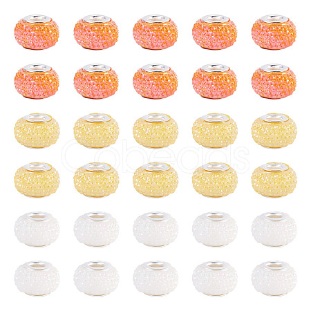 100Pcs Large Hole Resin European Beads OPDL-TA0001-06A-1