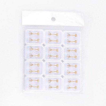 304 Stainless Steel Earlobe Plugs EJEW-H362-06G-3mm-1