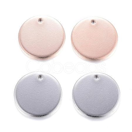 304 Stainless Steel Charms STAS-G122-23-1