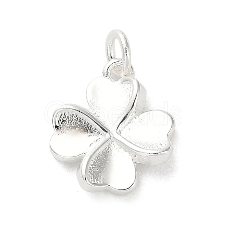 925 Sterling Silver Charms LS-FIND-Z069-04S-C-1