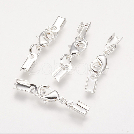 Rack Plating Brass Lobster Claw Clasps with Clip Ends LS-KK-E719-60S-1