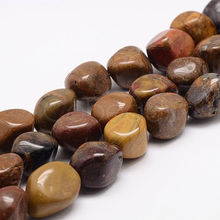 Natural Petrified Wood Bead Strands G-K153-D31-1