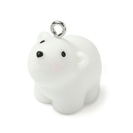 Animal Series Resin Pendants RESI-K203-09A-1