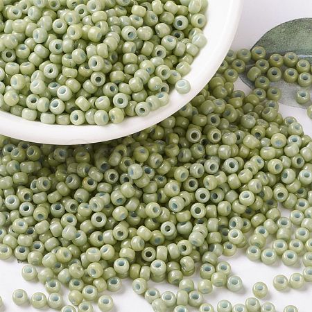 MIYUKI Round Rocailles Beads SEED-X0055-RR4473-1