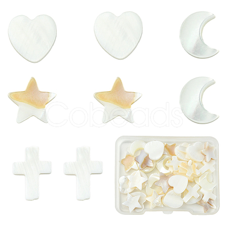 40Pcs 4 Styles Natural Freshwater Shell Beads Sets BSHE-YW0001-25-1
