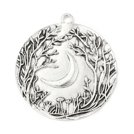 Tibetan Style Alloy Big Pendants TIBEP-F077-01D-1
