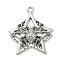 Alloy Pendants, Star with Spider, Platinum, 45x38x5.5mm, Hole: 3mm