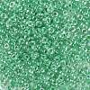 8/0 Glass Seed Beads SEED-A015-3mm-2218-2