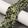 Natural Prehnite Beads Strands G-L629-B05-2mm-1