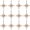30Pcs Alloy Rhinestone Pendants FIND-SC0011-04-1