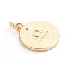 Brass Micro Pave Cubic Zirconia Pendants ZIRC-E164-34K-G-2