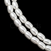 Electroplated Shell Pearl Beads Strands BSHE-H113-06B-06-3
