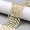 Transparent Electroplate Glass Beads Strands GLAA-H021-01A-PL02-3