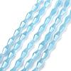 Opaque Glass Beads Strands GLAA-P001-04A-03-1