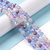 Glass Beads Strands GLAA-E036-09B-2