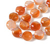 Natural Flower Agate Bead Strands G-NH0013-A01-01-4