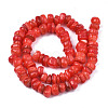 Natural Trochid Shell/Trochus Shell Beads Strands SHEL-S258-081-B06-2