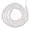 Natural Cultured Freshwater Pearl Beads Strands PEAR-N012-02L-4