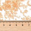 Transparent Glass Seed Beads SEED-S042-21B-05-4
