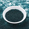 MIYUKI Round Rocailles Beads X-SEED-G007-RR2406-2