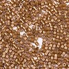 FGB 11/0 Grade A Baking Paint Glass Seed Beads SEED-S030-1146-2