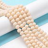 Glass Beads Strands EGLA-A034-P6mm-MD05-2