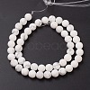 Natural Howlite Beads Strands X-G-G770-06-2